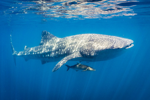 karijini ningaloo photo tour example 19